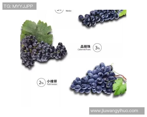 姚明2015红酒的独特魅力与品鉴体验探秘之旅